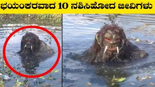 Top 10 Dangerous Extinct Animalsಭಯಂಕರವಾದ 10 ನಶಿಸಿಹೋದ ಜೀವಿಗಳುRj Facts In Kannada [upl. by Zebaj200]