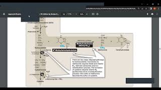 Metabolism of methionineadoMet and some disease processes affecting methionine metabolism [upl. by Auka543]