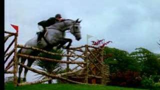 SlowMotion Horse Jumping [upl. by Candy235]