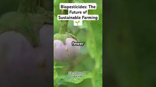 Biopesticides The Future of Sustainable Farming 🌱 trendingvideos pestcontrol science [upl. by Xilef]