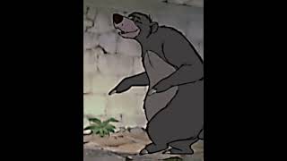 Boog vs baloo [upl. by Ahselaf]