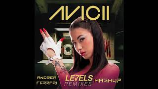 ANNA vs Avicii amp Skrillex  Levels Skrillex Remix vs HELLO KITTY Andrea Ferrari Mashup [upl. by Mccarty]