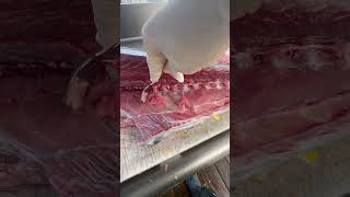 Tuna Tartare scraping a tuna carcass [upl. by Sevy]