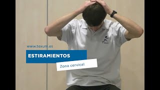 Estiramientos de la zona Cervicales Los esplenios [upl. by Max]