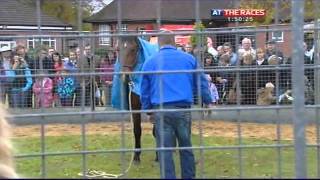 Horse Whisperer Gary Witherford at Lingfield Park [upl. by Bellanca922]