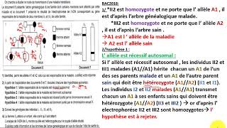 Revision Genetique humaine  correction bac 2k18  Bac scExp  Bac Math [upl. by Zachary]