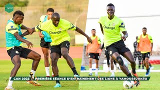 CAN 2023  Première Séance d’entrainement des lions à Yamoussoukro [upl. by Etnovad311]