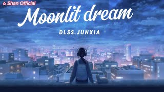 Moonlit Dream feat Xun Jia  DLSS Vietsub [upl. by Uund]