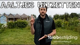 AALTJES INZETTEN HIER DE INSTRUCTIE BIOBESTRIJDING [upl. by Adnilema]