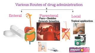 Routes of Drug administrationpart 1 Oral Routepharmacology Routes of drug administration [upl. by Loeb]