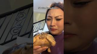 JAMAL UDAH GEDE 🥺🐢 [upl. by Kosaka]