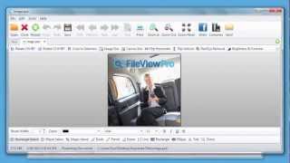 FileViewPro Review [upl. by Ettennaj538]