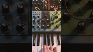 Getting to know Moog Subharmonicon electronicmusic synth modularsynth [upl. by Ecnadnak804]