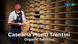 Casearia Monti Trentini Biofach ITA [upl. by Narik50]