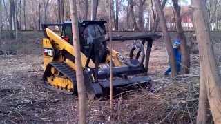 CAT 289 D High Flow amp Forestry Mulcher HM 315 [upl. by Eirrod680]