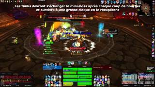 Parangons des Klaxxi 10 NM  Chaman Heal POV  Eyesoul  Archimonde EU [upl. by Uhej793]