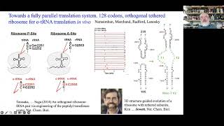 BuildaCell seminar George Church Synthetic genomes amp tRNAs in vitro amp vivo [upl. by Nicolella]