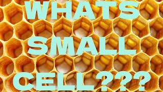 What is small cell bee keeping or small cell foundation [upl. by Lleze]