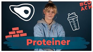 Hvor meget protein skal jeg spise  COACH [upl. by Aleuname]