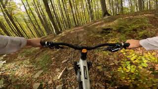 Borsuk  najszybszy bielski dzikus  20102024  GoPro Hero11 Black POV  Enduro MTB [upl. by Kristi524]