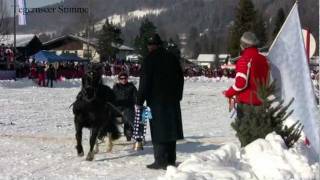 Bäuerliches Schlittenrennen Rottach Egern 2012 [upl. by Newol]