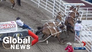 Another horse injured at Calgary Stampedes half mile of hell [upl. by Onaicram]