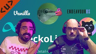 GeckoLinux and the Side Quest Season 3 Episode 14 [upl. by Armbrecht]