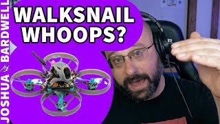 What Are Some Good Walksnail Whoop Options  FPV Questions [upl. by Bilac]