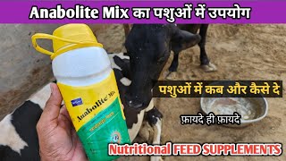 Anabolite Mix  Energy Booster  पशुओं में ग़जब के फ़ायदे कब और कितना दे Pet vet town [upl. by Euphemie418]