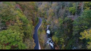 Fall Along the Nantahala River [upl. by Kcirneh]