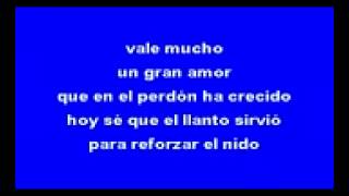 vale mas un buen amor vicente fernandez karaoke240p H 264 AAC [upl. by Alwitt885]