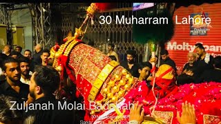 30 Muharram  Zuljana Molai Badshah  Shahzada ￼Party amp Katra Wali Shah Lahore [upl. by Wylen713]