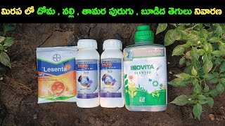 bayer lesenta insecticide  lesenta insecticide telugu  roko flo biostadt  roko flo  gls farming [upl. by Robaina]