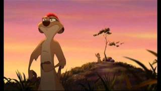 Timon encouraged  malayalam versionmp4 [upl. by Leahcin]