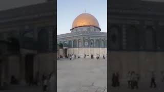 Azzam Dweik Quran Recitation plus you can hear the church bells very lightly [upl. by Korey647]