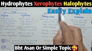 Osmotic Adjustment In Plants  Hydrophytes Xerophytes amp Halophytes  Class 10 Biology [upl. by Sandie]