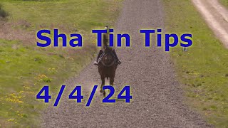 🏇Hong Kong Horse Racing Tips 442024  Sha Tin [upl. by Lindemann]