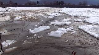 Ice over the Grant st dam 1 Lock Haven 1152014 [upl. by Jillayne663]