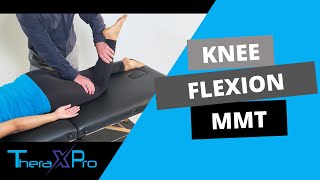 Manual Muscle Test  Knee Flexion [upl. by Hodges308]