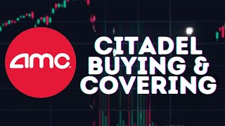 AMC STOCK UPDATE AMC CITADEL BUYING amp COVERING SHORTS PANIC [upl. by Odelia]