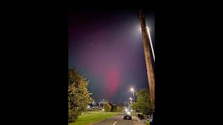 Incase you missed the Northern Lights 😇 northenlights beauty leeds northernmagic northlight [upl. by Imtiaz806]