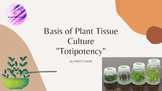 Totipotency of plant cell   1 Plant Tissue Culture [upl. by Yrakcaz]