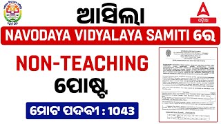 Navodyaya Vidyalaya Vacancy 2024  Navodyaya Vidyalaya Samiti Recruitment 2024  Full Details [upl. by Hoehne]