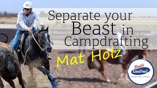 How to separate your beast in campdrafting [upl. by Ewald268]