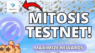 Mitosis Testnet Guide Maximize your Airdrop [upl. by Michaeline316]