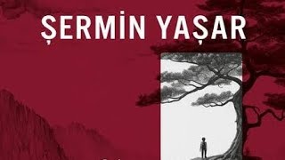 Şermin Yaşar Söyleme Bilmesinler Seslendiren Cem Avnayim [upl. by Nyrret]