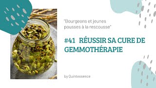 41 Comment réussir sa cure de gemmothérapie [upl. by Melc]