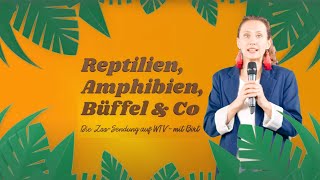 Reptilien Amphibien Büffel amp Co  Die ZooSendung mit BIRT [upl. by Bartram525]