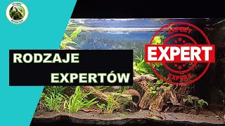 Rodzaje Expertów [upl. by Annaed437]