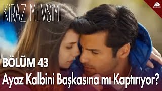 Kiraz Mevsimi  Ayaz kalbini başkasına mı kaptırıyor  43Bölüm [upl. by Jobina]